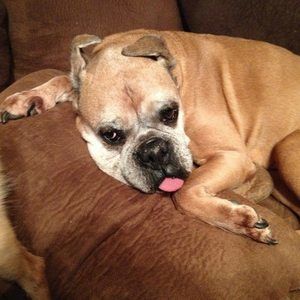 Meet your Posher, Patty